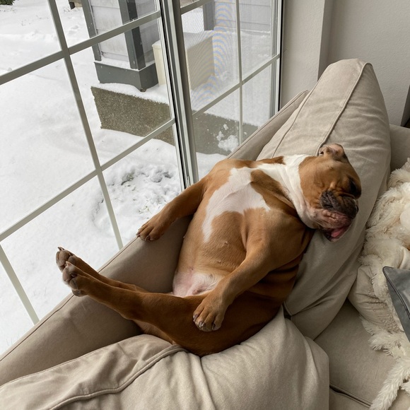 Meet your Posher, Fred - Picture 1 of 1